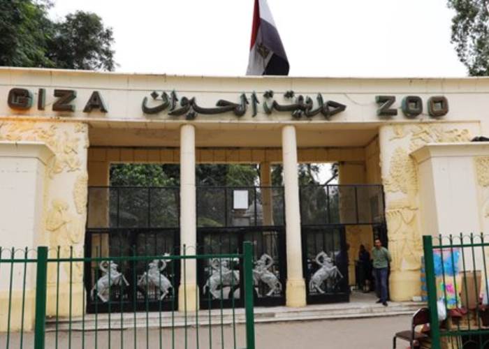 موعد افتتاح حديقة الحيوان في الجيزة بعد إغلاق دام أكثر من عام ونصف