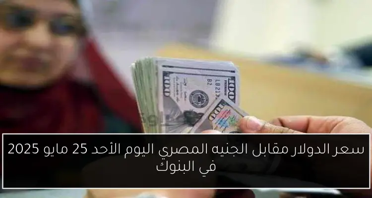 سعر الدولار مقابل الجنيه المصري اليوم الأحد 25 مايو 2025 في البنوك