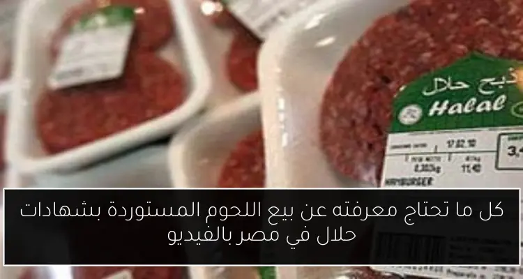 كل ما تحتاج معرفته عن بيع اللحوم المستوردة بشهادات حلال في مصر بالفيديو