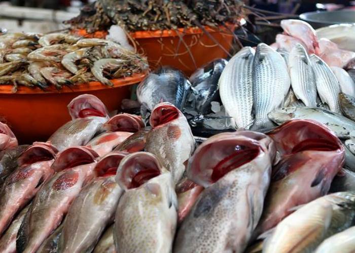 زيادة ملحوظة في أسعار الأسماك اليوم الثلاثاء 6 مايو 2025