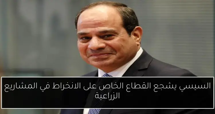 السيسي يشجع القطاع الخاص على الانخراط في المشاريع الزراعية