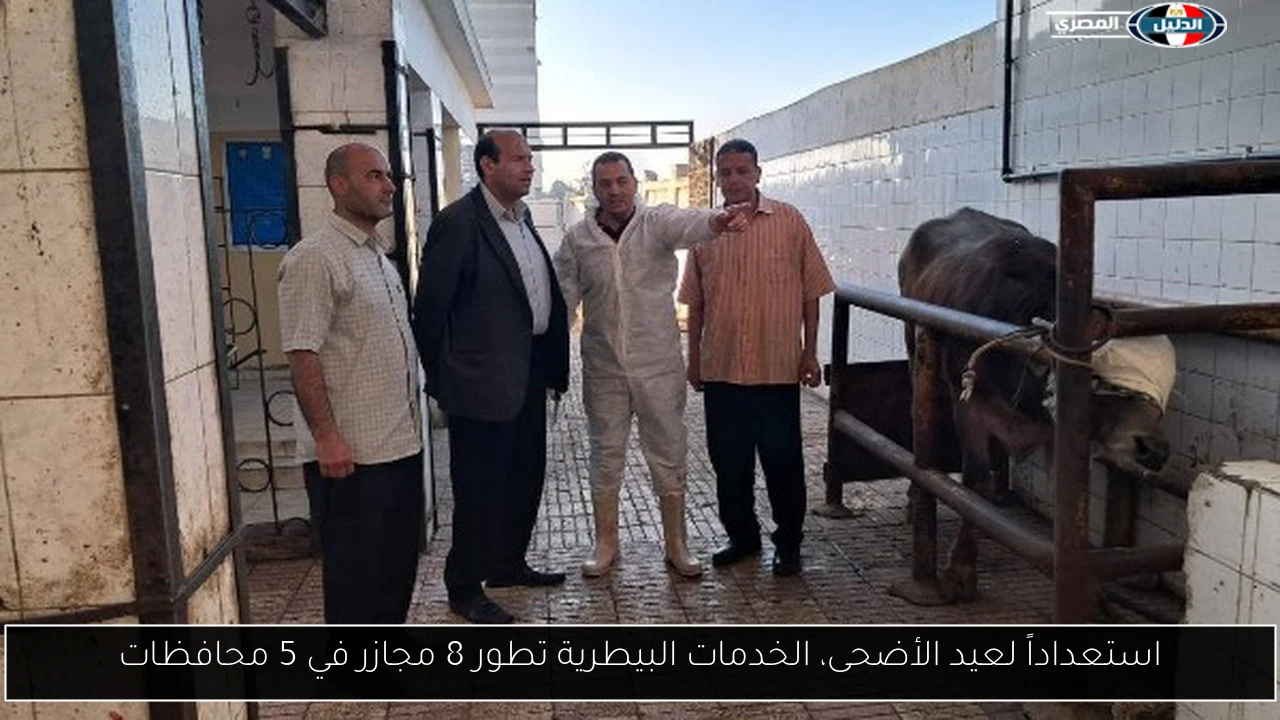 استعداداً لعيد الأضحى، الخدمات البيطرية تطور 8 مجازر في 5 محافظات