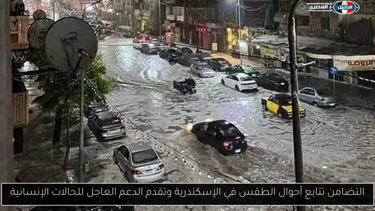 التضامن تتابع أحوال الطقس في الإسكندرية وتقدم الدعم العاجل للحالات الإنسانية