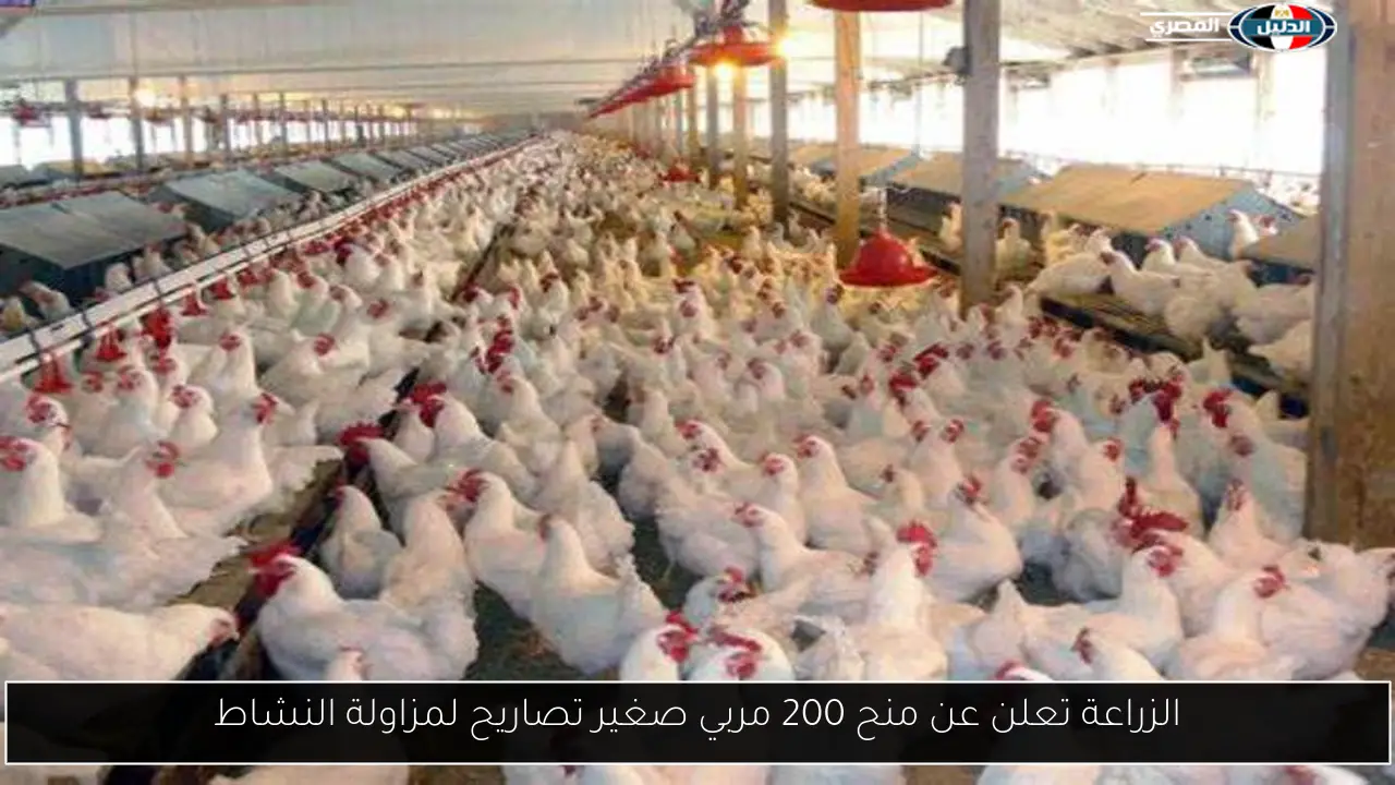 الزراعة تعلن عن منح 200 مربي صغير تصاريح لمزاولة النشاط