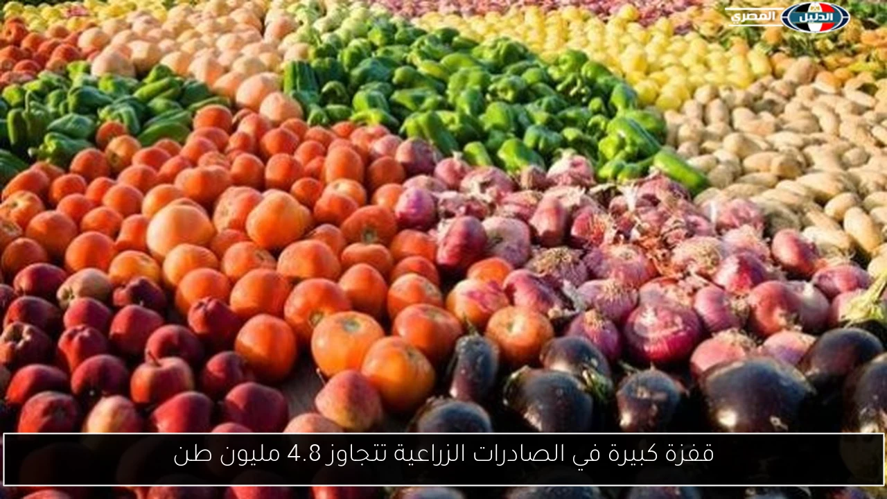 قفزة كبيرة في الصادرات الزراعية تتجاوز 4.8 مليون طن