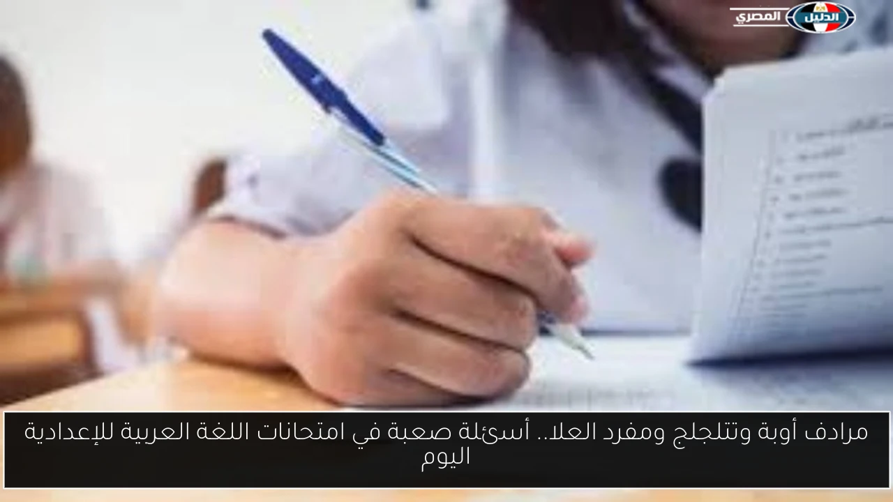 مرادف أوبة وتتلجلج ومفرد العلا.. أسئلة صعبة في امتحانات اللغة العربية للإعدادية اليوم