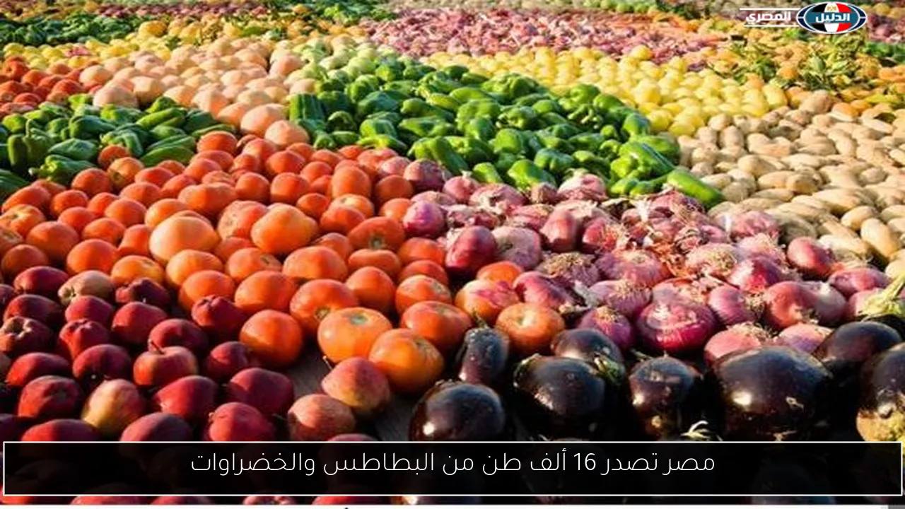 مصر تصدر 16 ألف طن من البطاطس والخضراوات