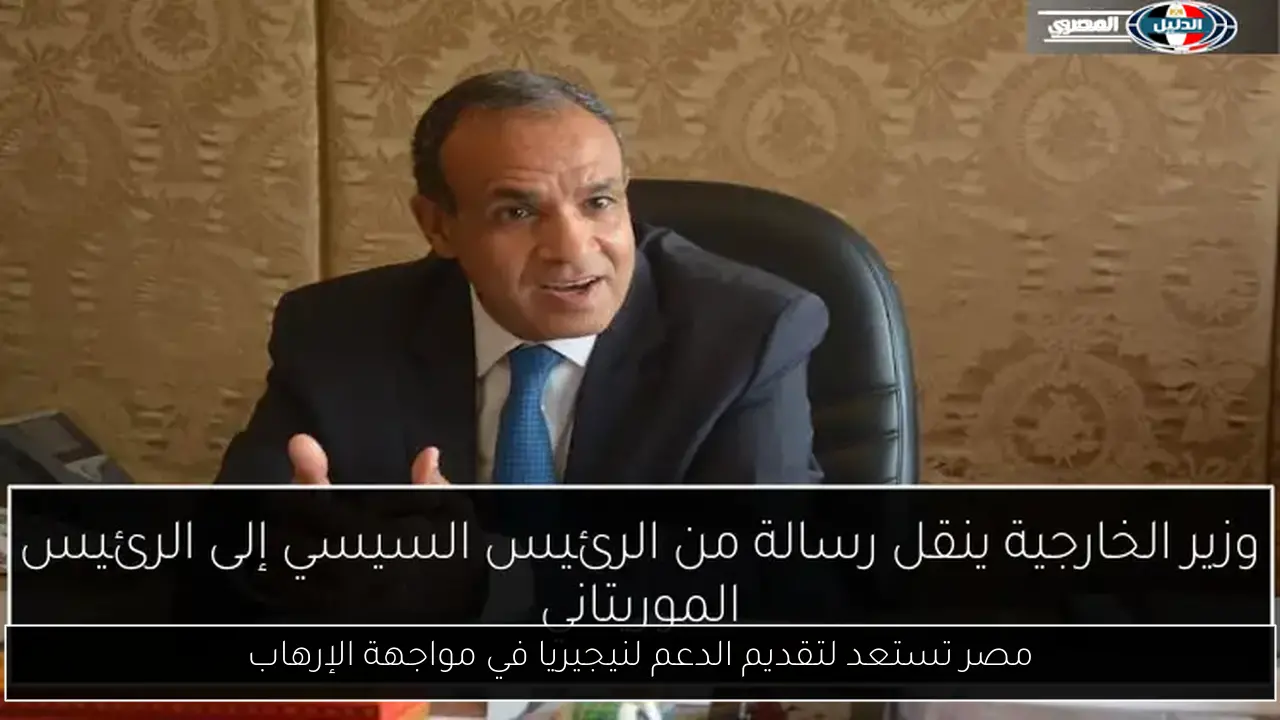 مصر تستعد لتقديم الدعم لنيجيريا في مواجهة الإرهاب