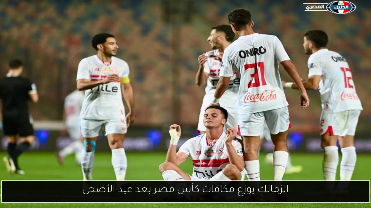 الزمالك يوزع مكافآت كأس مصر بعد عيد الأضحى