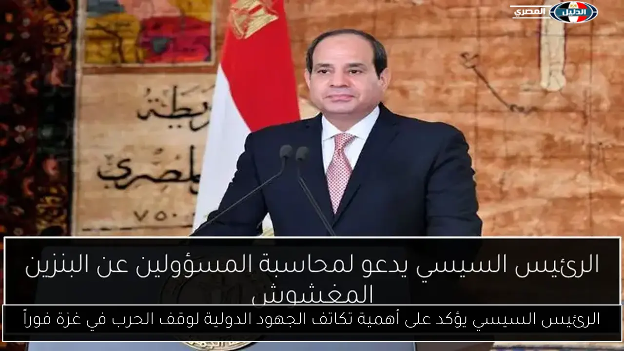 الرئيس السيسي يؤكد على أهمية تكاتف الجهود الدولية لوقف الحرب في غزة فوراً