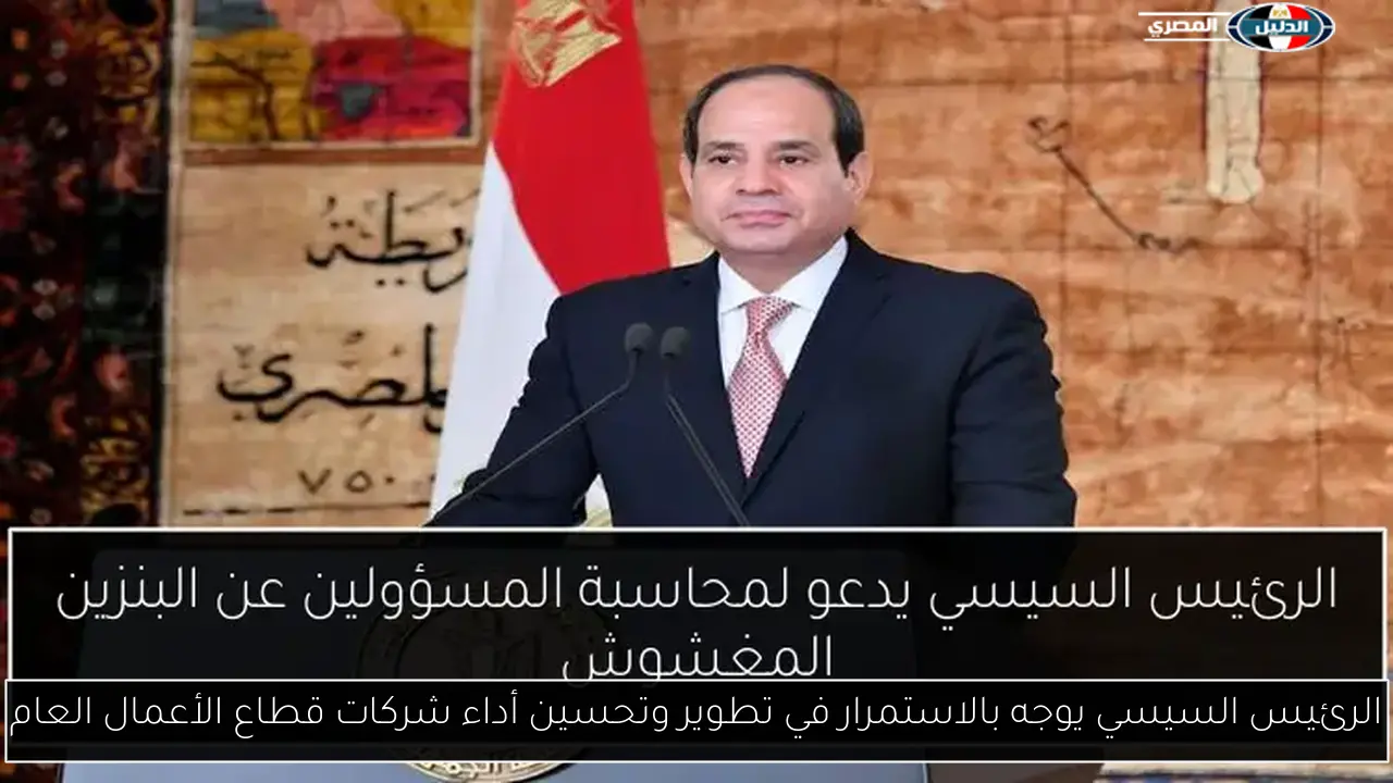 الرئيس السيسي يوجه بالاستمرار في تطوير وتحسين أداء شركات قطاع الأعمال العام