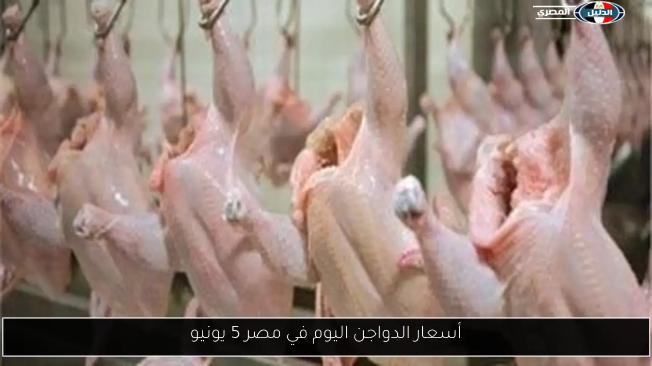 أسعار الدواجن اليوم في مصر 5 يونيو