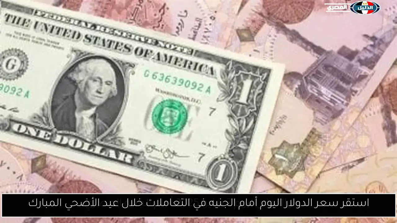 استقر سعر الدولار اليوم أمام الجنيه في التعاملات خلال عيد الأضحي المبارك