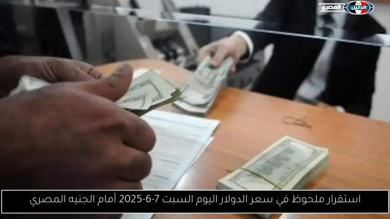 استقرار ملحوظ في سعر الدولار اليوم السبت 7-6-2025 أمام الجنيه المصري