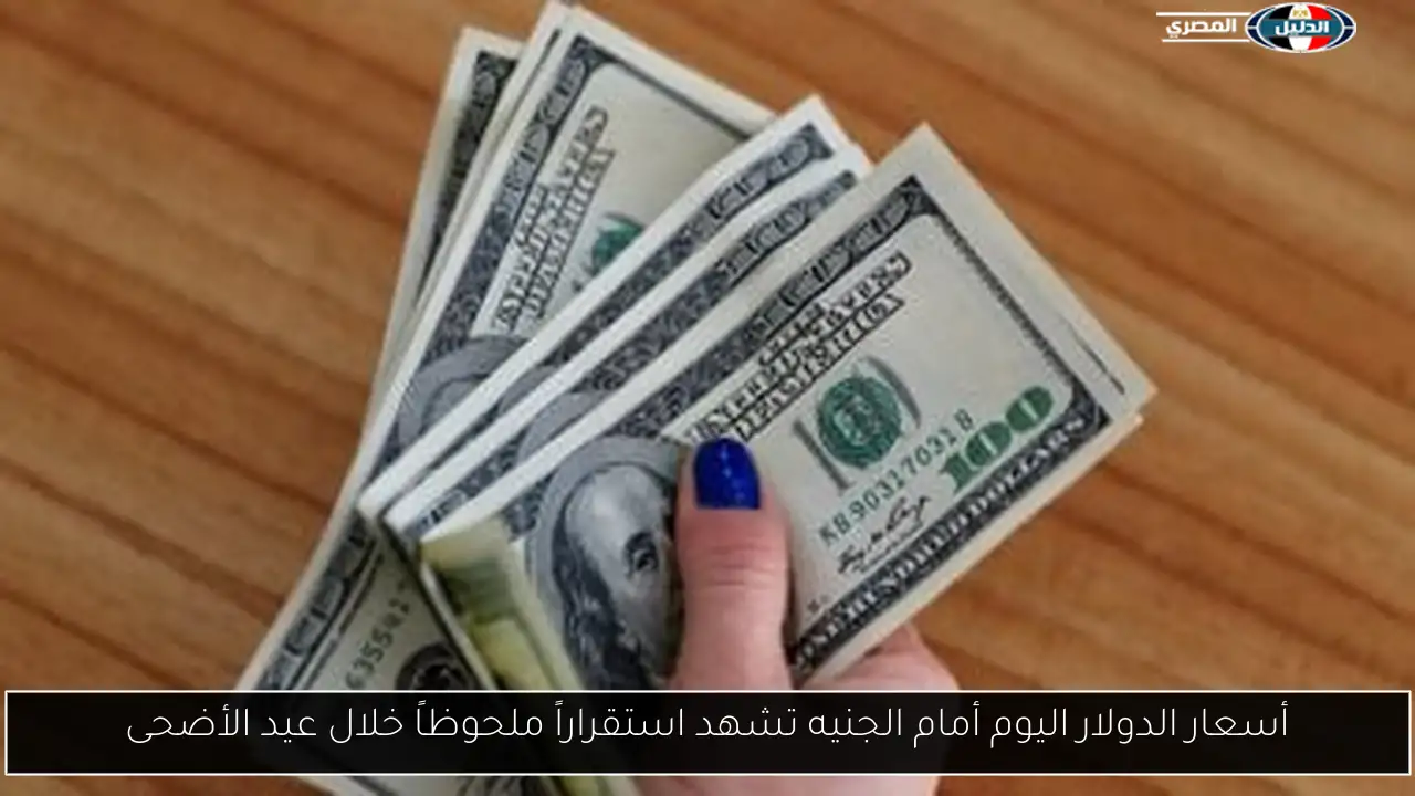 أسعار الدولار اليوم أمام الجنيه تشهد استقراراً ملحوظاً خلال عيد الأضحى