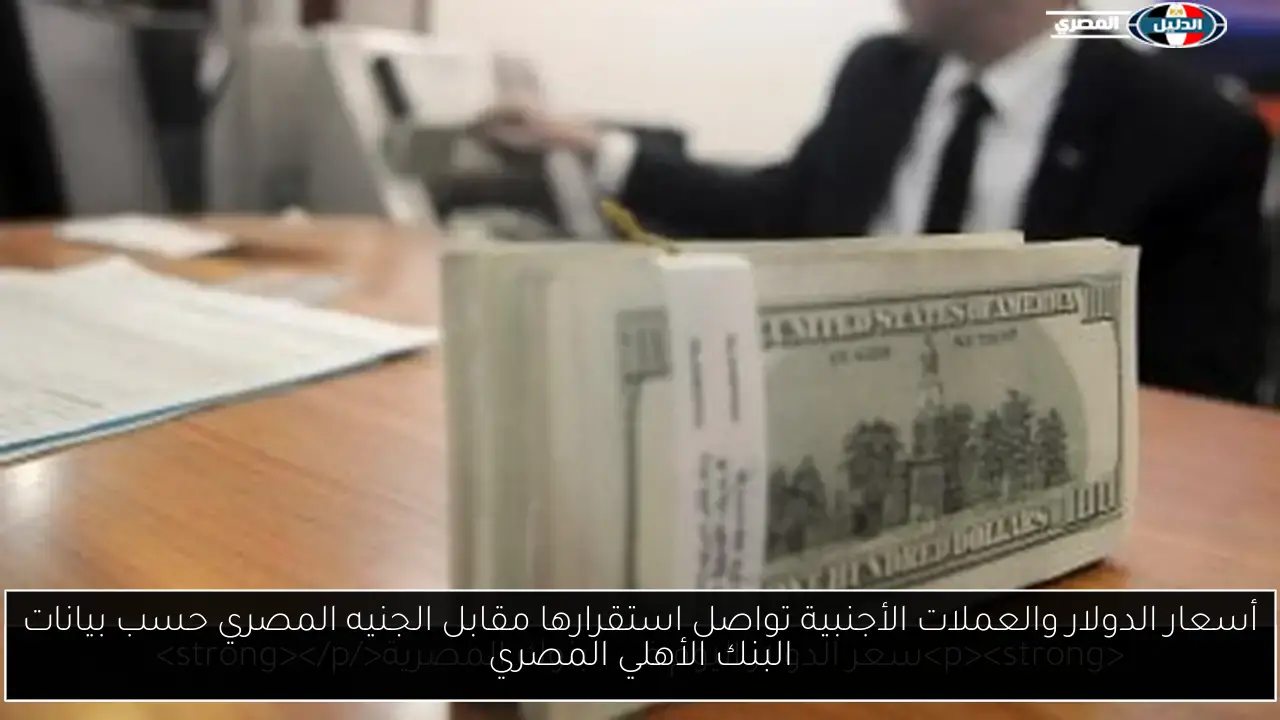 أسعار الدولار والعملات الأجنبية تواصل استقرارها مقابل الجنيه المصري حسب بيانات البنك الأهلي المصري