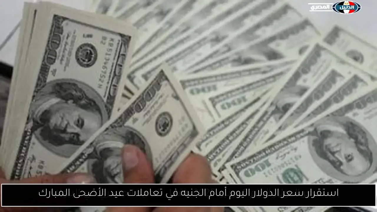 استقرار سعر الدولار اليوم أمام الجنيه في تعاملات عيد الأضحى المبارك