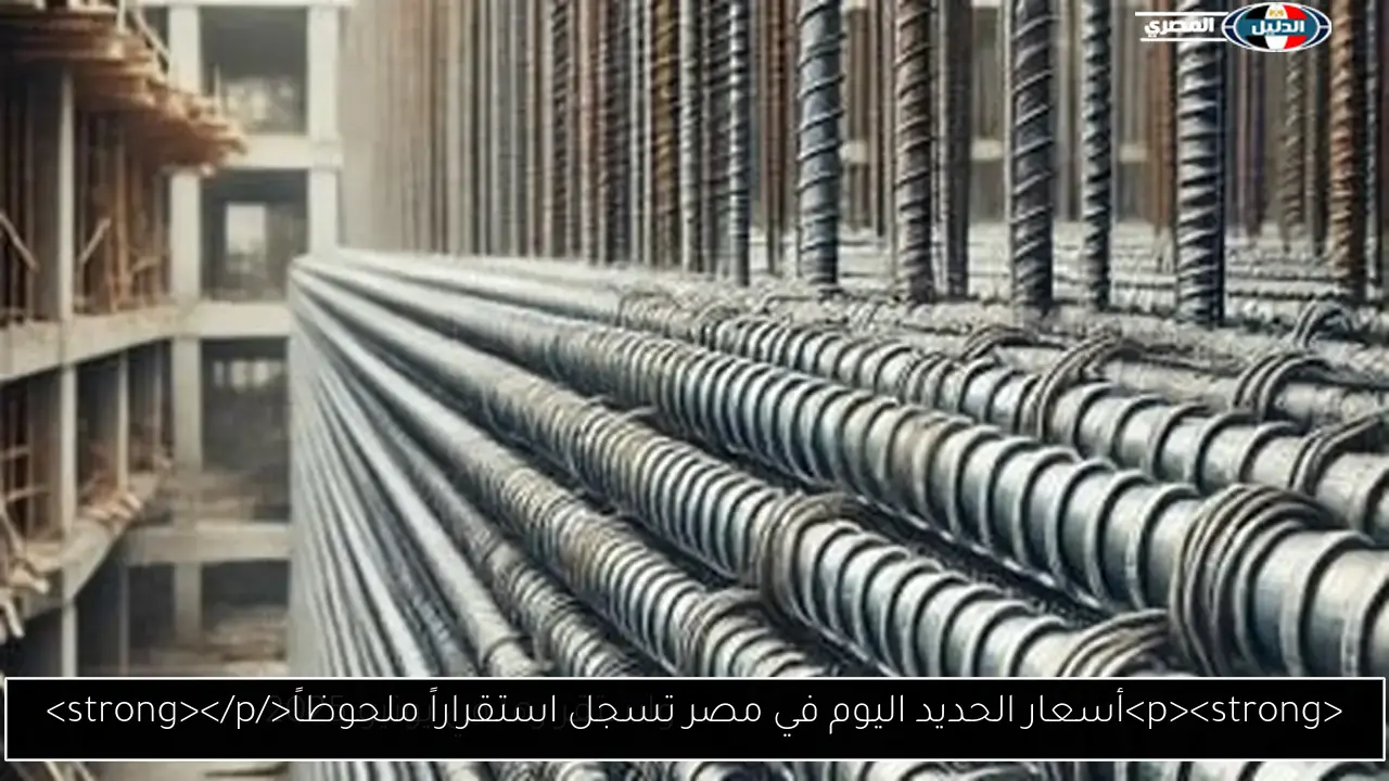 <p><strong>أسعار الحديد اليوم في مصر تسجل استقراراً ملحوظاً</strong></p>
