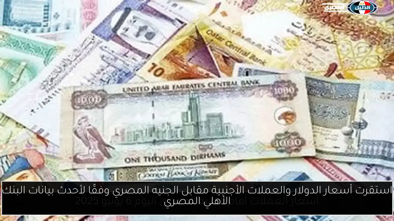استقرت أسعار الدولار والعملات الأجنبية مقابل الجنيه المصري وفقًا لأحدث بيانات البنك الأهلي المصري