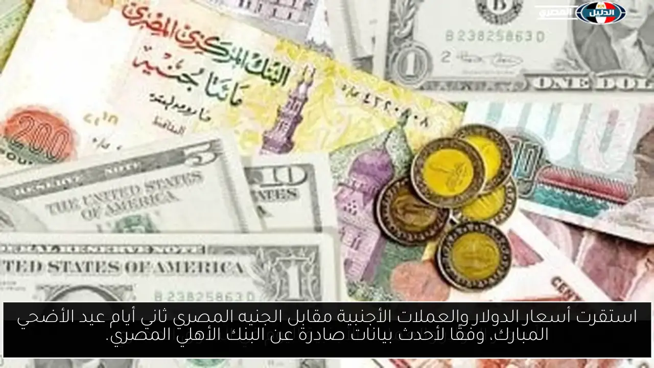 استقرت أسعار الدولار والعملات الأجنبية مقابل الجنيه المصري ثاني أيام عيد الأضحي المبارك، وفقًا لأحدث بيانات صادرة عن البنك الأهلي المصري.