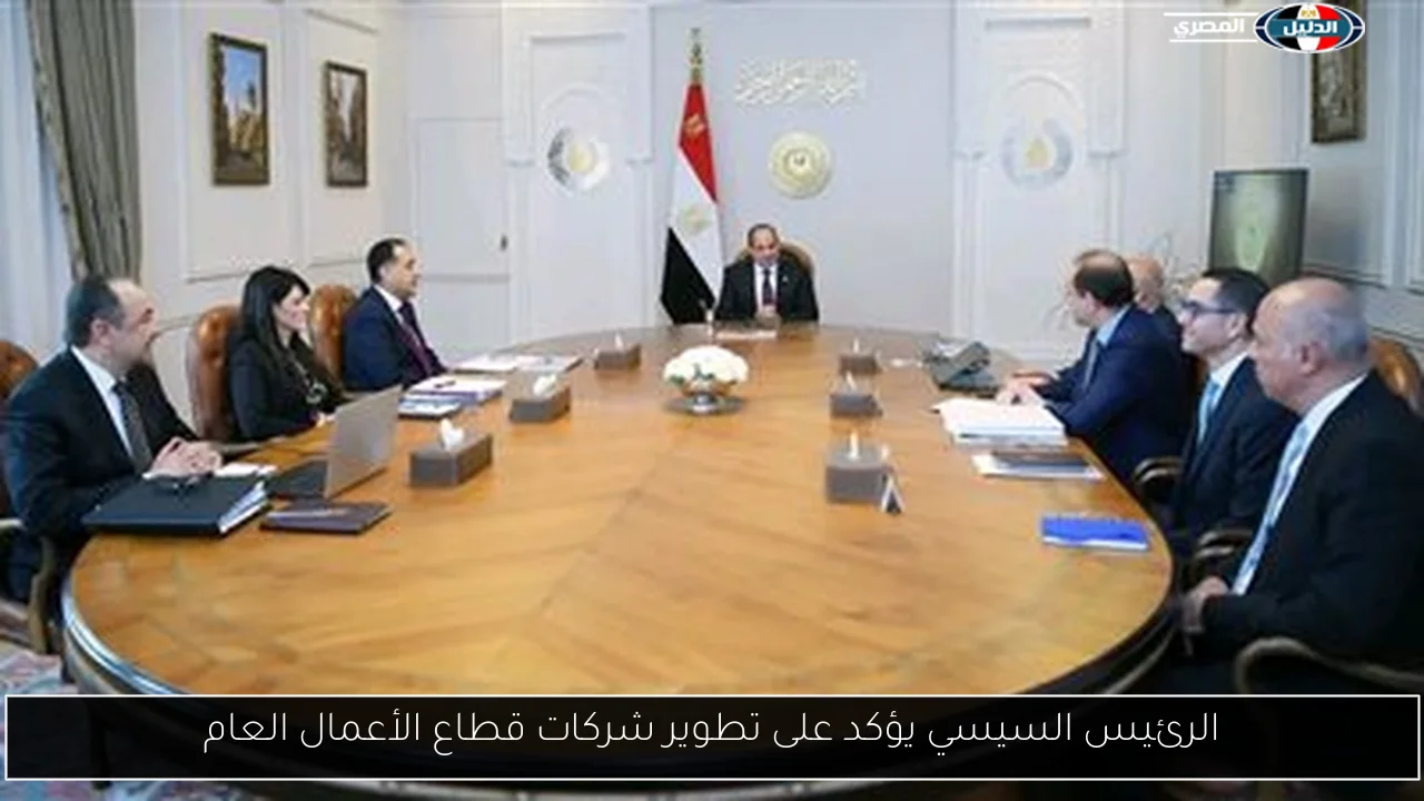الرئيس السيسي يؤكد على تطوير شركات قطاع الأعمال العام