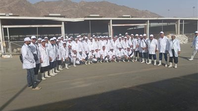 220 طبيب بيطري مصري في بعثة السعودية خلال عيد الأضحى