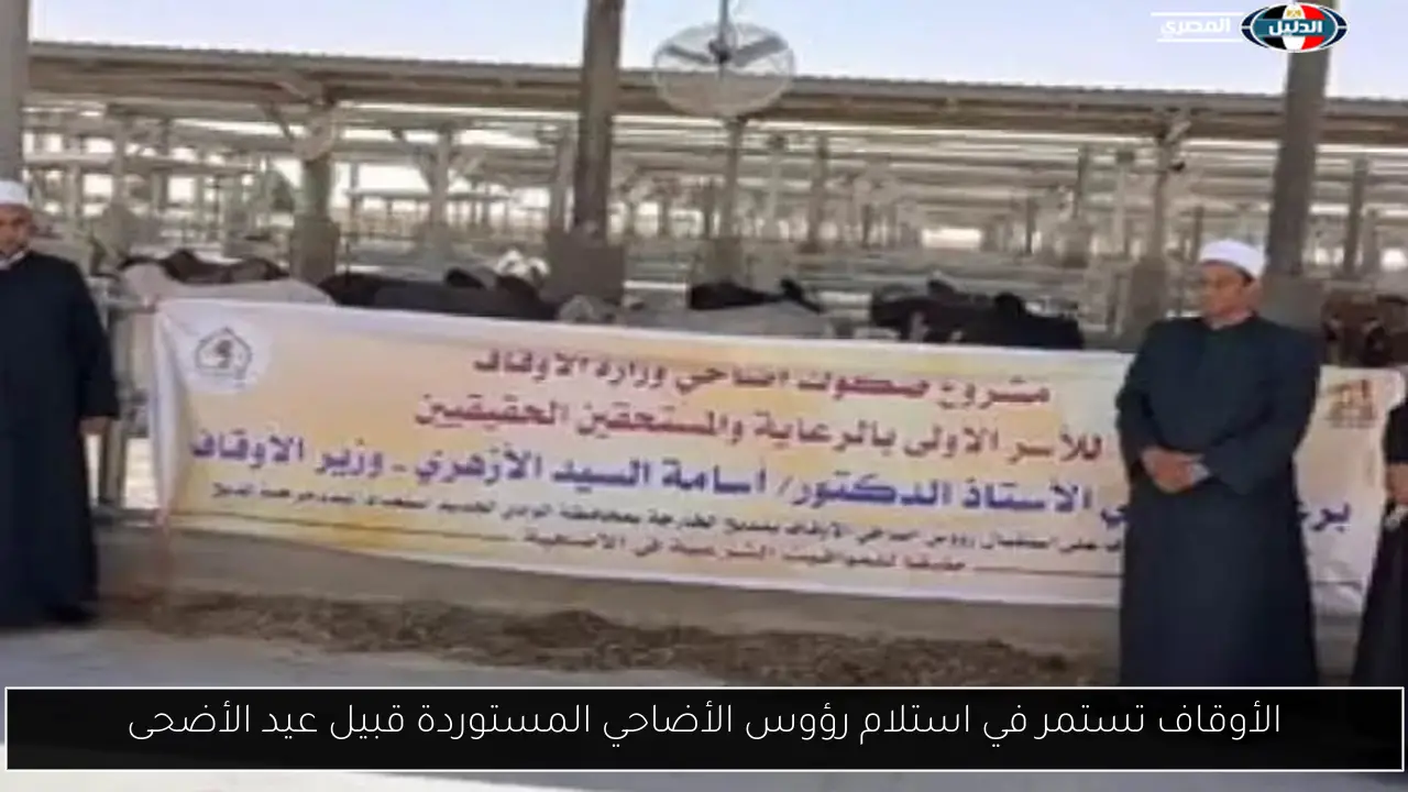 الأوقاف تستمر في استلام رؤوس الأضاحي المستوردة قبيل عيد الأضحى