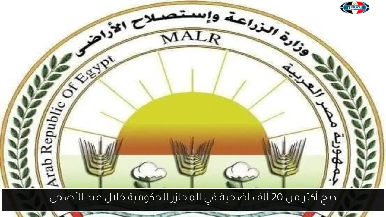 ذبح أكثر من 20 ألف أضحية في المجازر الحكومية خلال عيد الأضحى