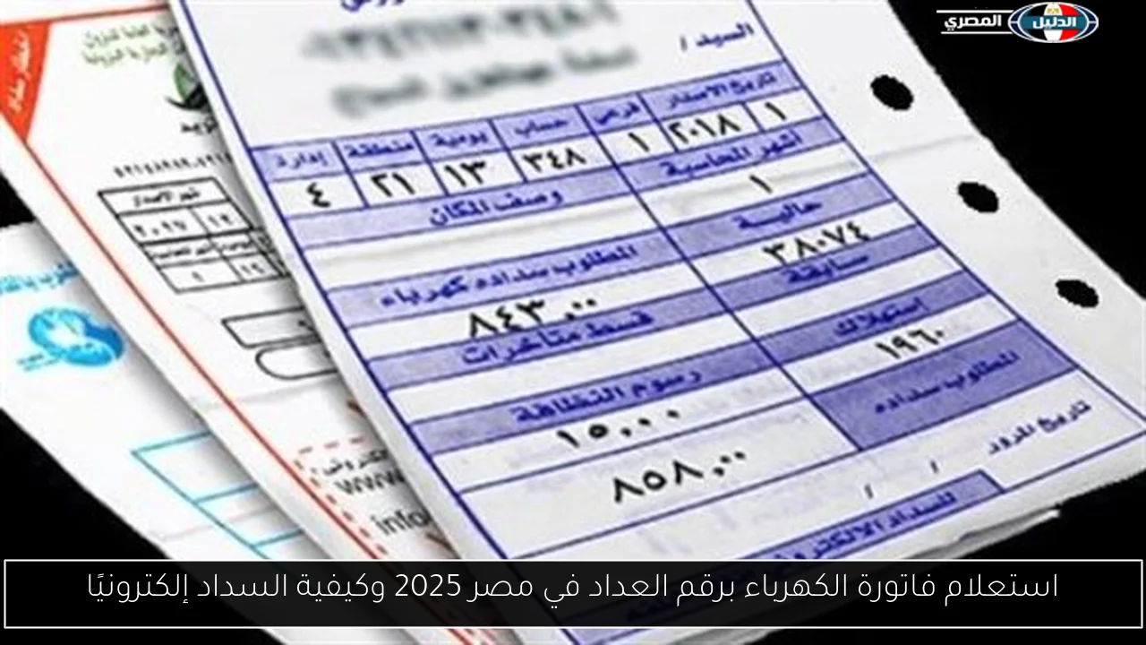 استعلام فاتورة الكهرباء برقم العداد في مصر 2025 وكيفية السداد إلكترونيًا