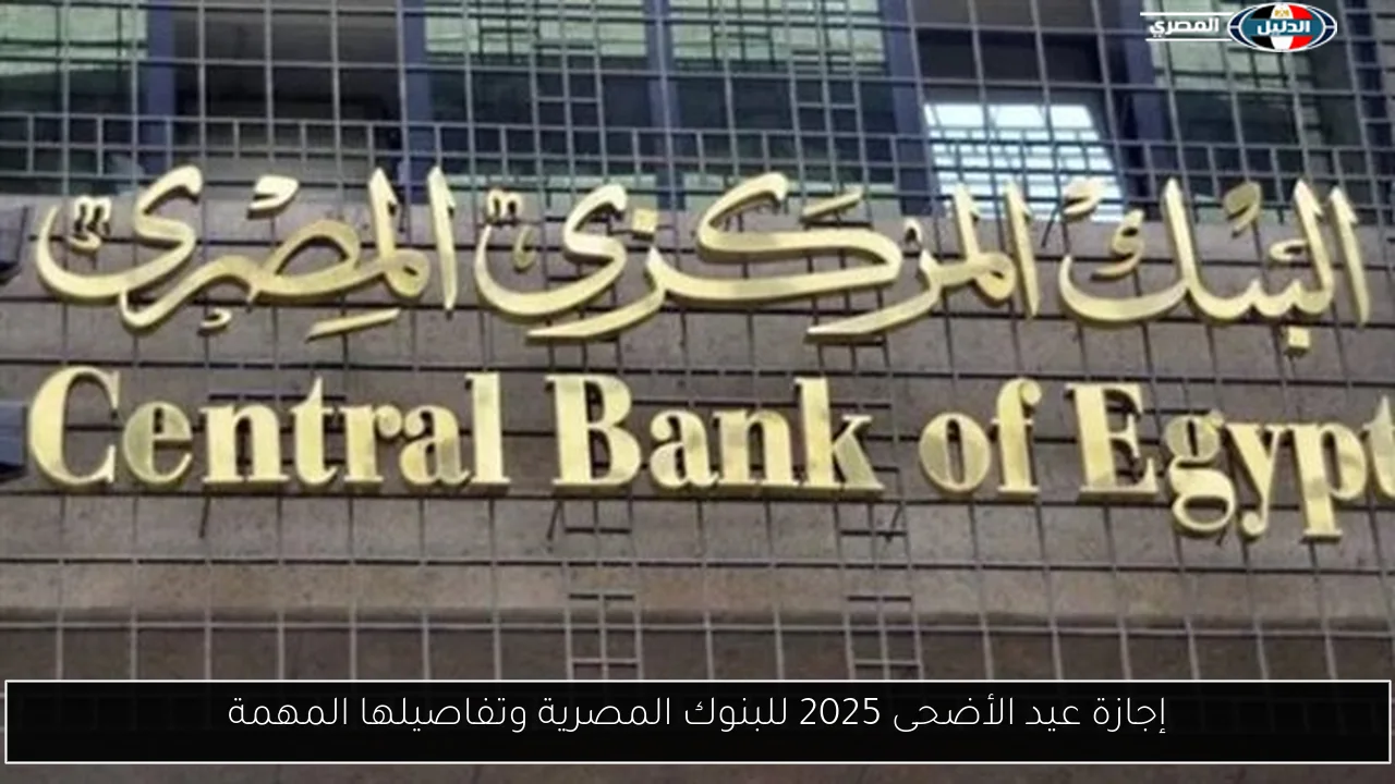 الأهلي يعود للتدريبات اليوم قبل السفر لأمريكا لكأس العالم للأندية