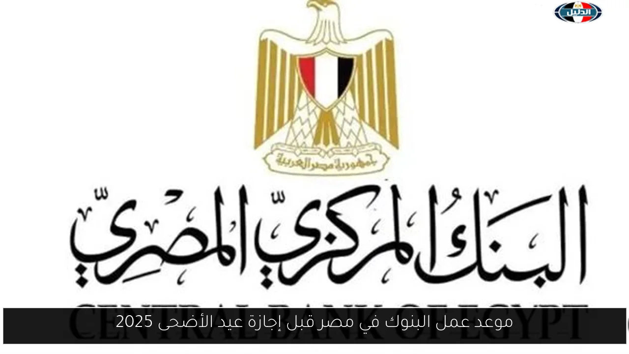 موعد عمل البنوك في مصر قبل إجازة عيد الأضحى 2025