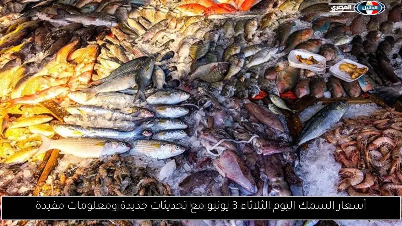 أسعار السمك اليوم الثلاثاء 3 يونيو مع تحديثات جديدة ومعلومات مفيدة