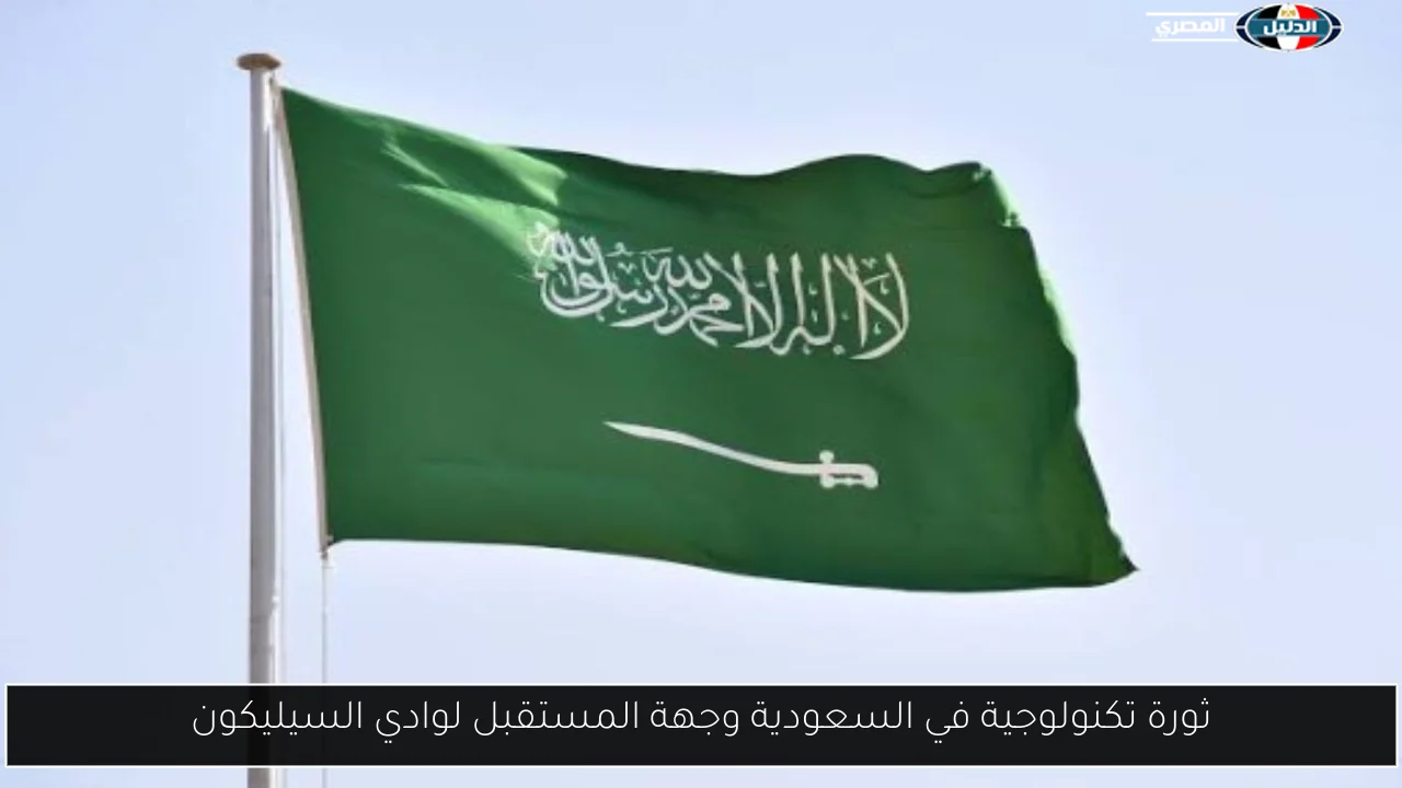 ثورة تكنولوجية في السعودية وجهة المستقبل لوادي السيليكون