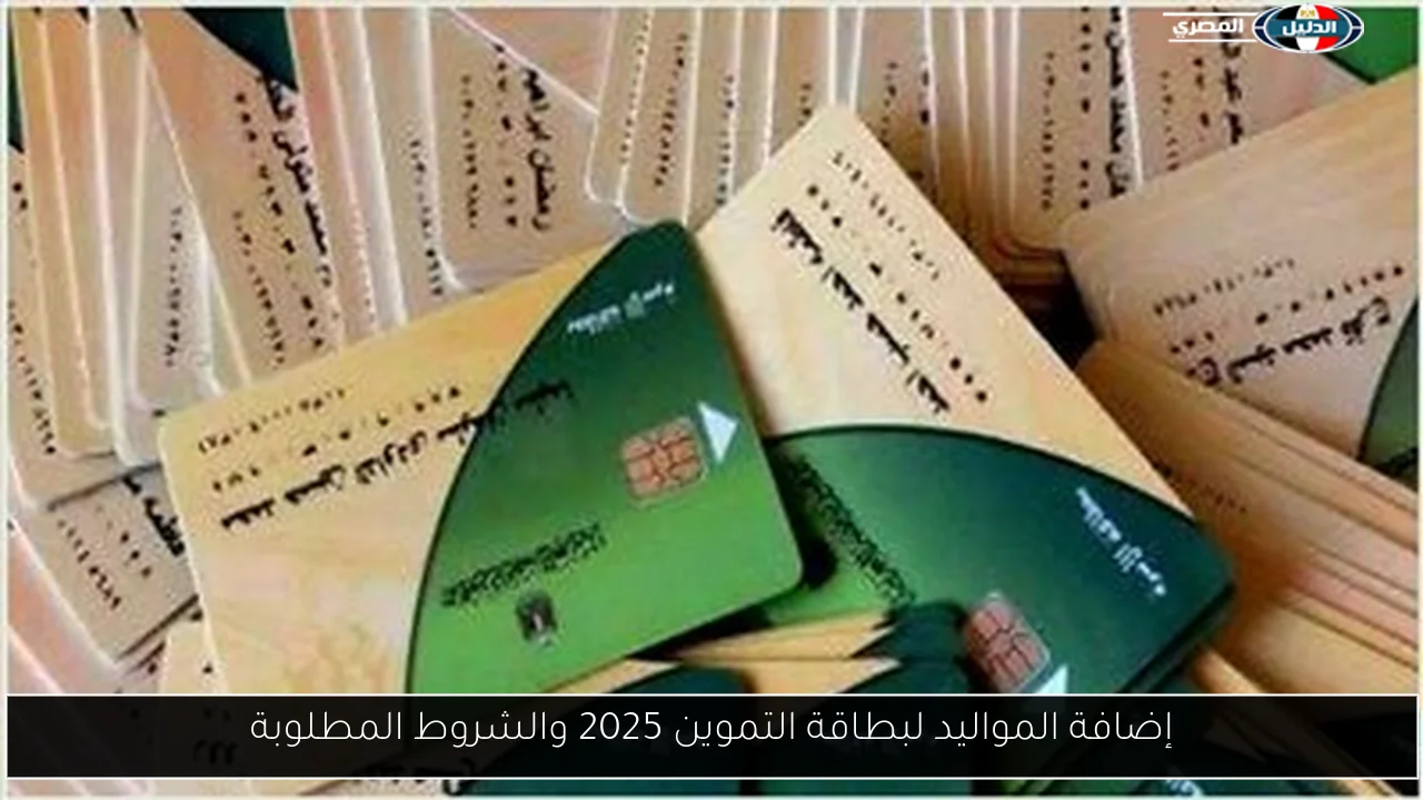 إضافة المواليد لبطاقة التموين 2025 والشروط المطلوبة