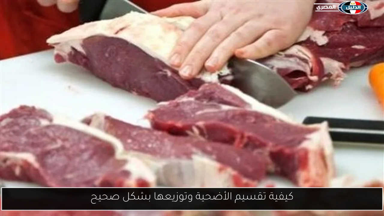 كيفية تقسيم الأضحية وتوزيعها بشكل صحيح