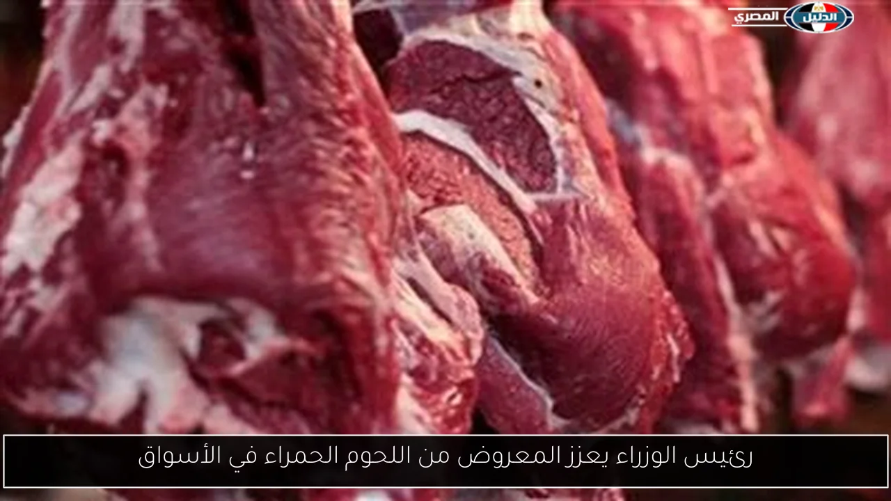 رئيس الوزراء يعزز المعروض من اللحوم الحمراء في الأسواق