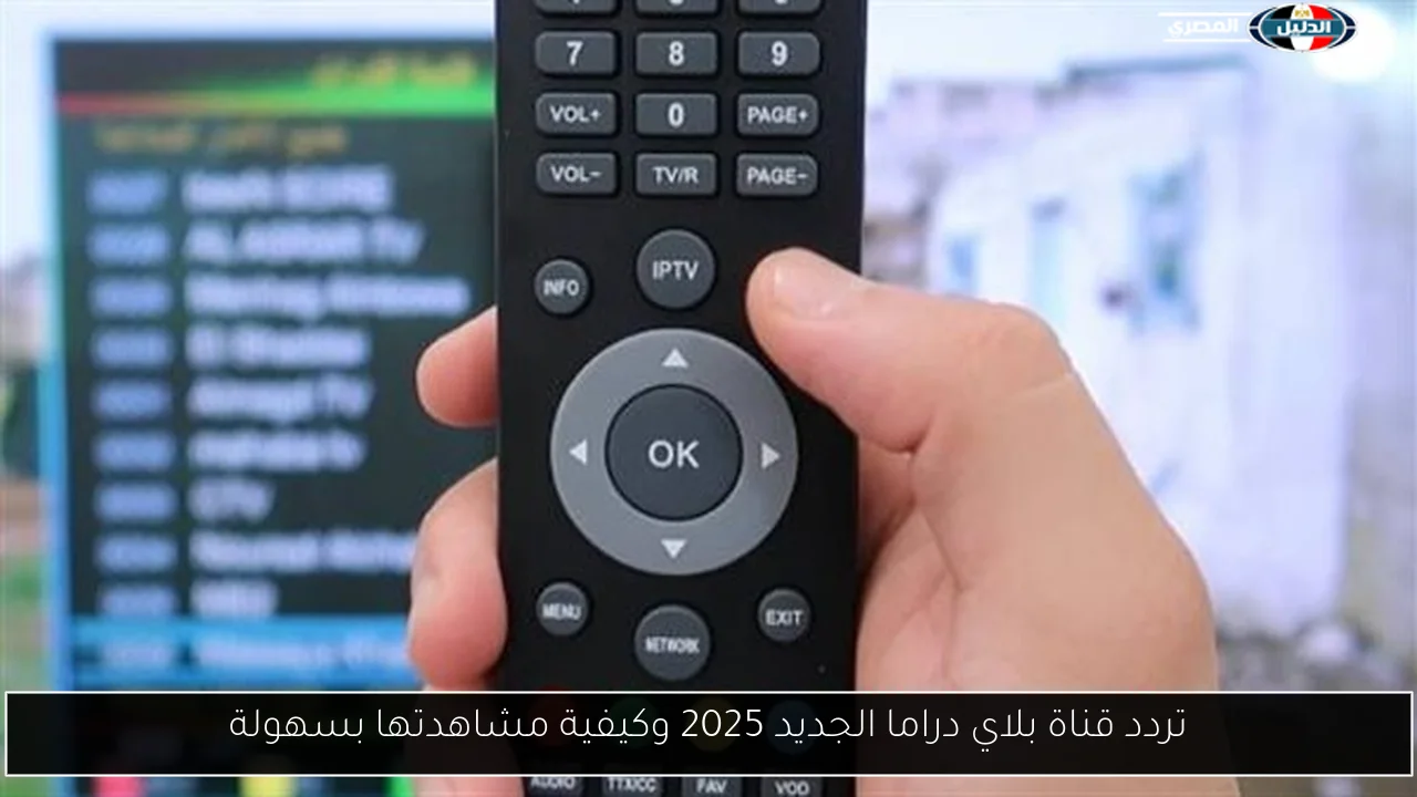 رئيس الوزراء يلتقي السفير العراقي في القاهرة لمناقشة القضايا المشتركة