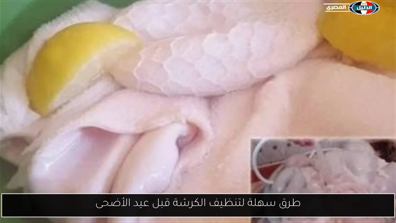 طرق سهلة لتنظيف الكرشة قبل عيد الأضحى