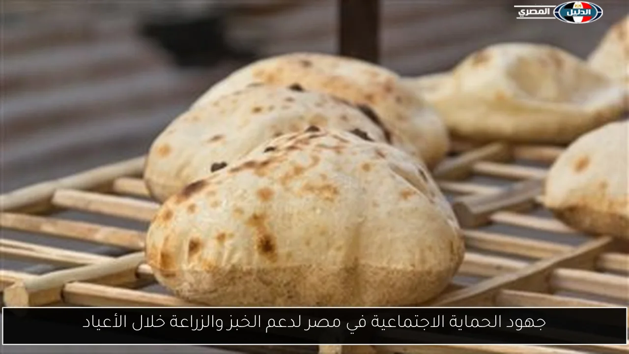 جهود الحماية الاجتماعية في مصر لدعم الخبز والزراعة خلال الأعياد