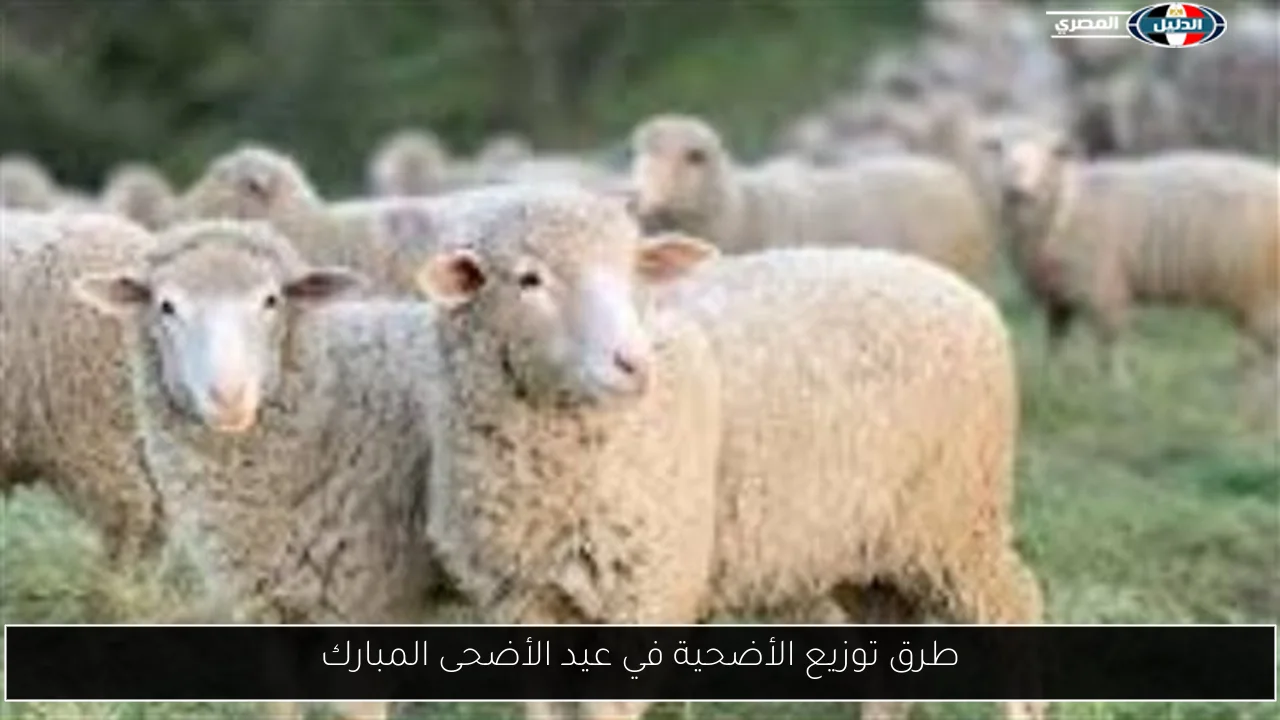 طرق توزيع الأضحية في عيد الأضحى المبارك