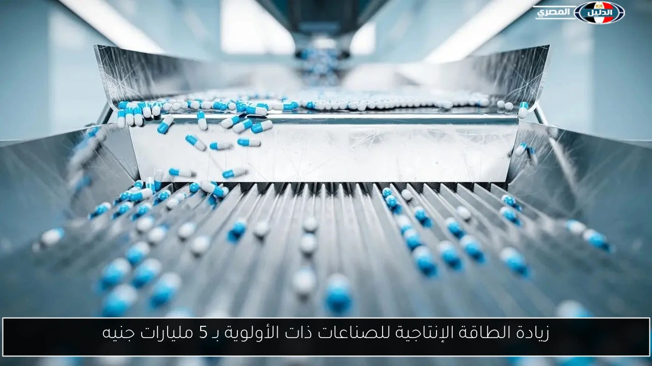 زيادة الطاقة الإنتاجية للصناعات ذات الأولوية بـ 5 مليارات جنيه
