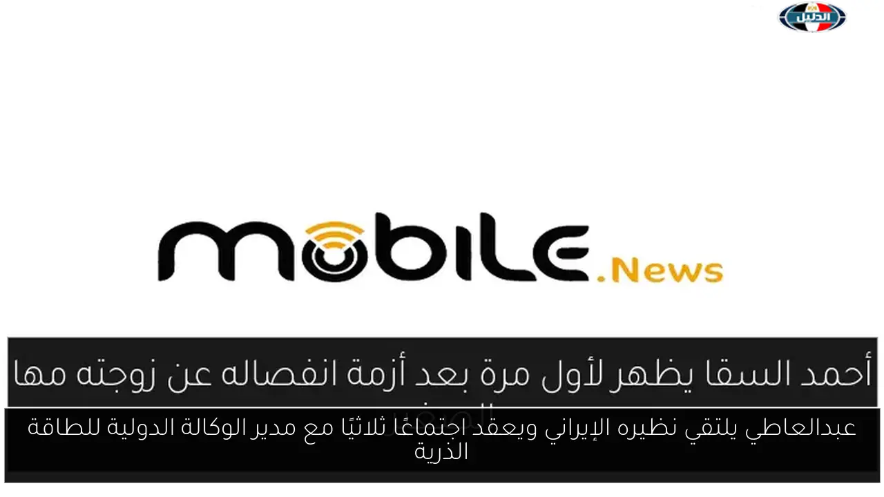 عبدالعاطي يلتقي نظيره الإيراني ويعقد اجتماعًا ثلاثيًا مع مدير الوكالة الدولية للطاقة الذرية