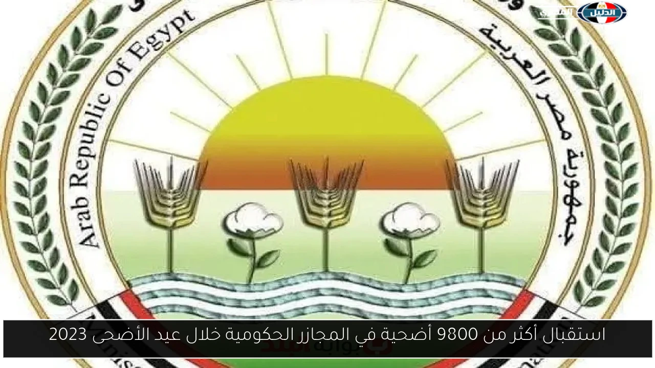 استقبال أكثر من 9800 أضحية في المجازر الحكومية خلال عيد الأضحى 2023