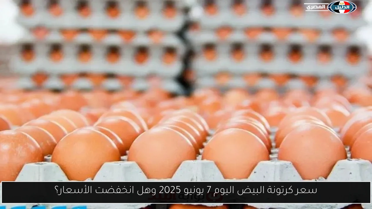 سعر كرتونة البيض اليوم 7 يونيو 2025 وهل انخفضت الأسعار؟