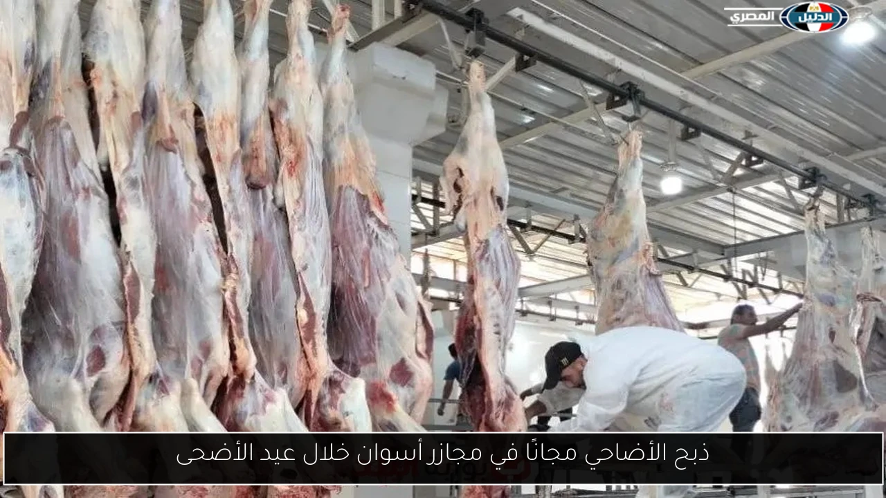 ذبح الأضاحي مجانًا في مجازر أسوان خلال عيد الأضحى
