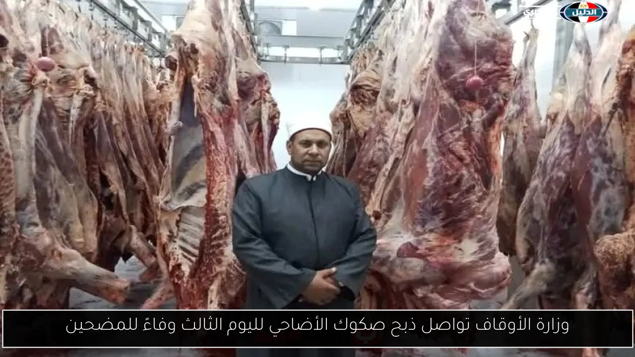 وزارة الأوقاف تواصل ذبح صكوك الأضاحي لليوم الثالث وفاءً للمضحين