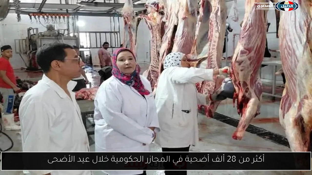 أكثر من 28 ألف أضحية في المجازر الحكومية خلال عيد الأضحى