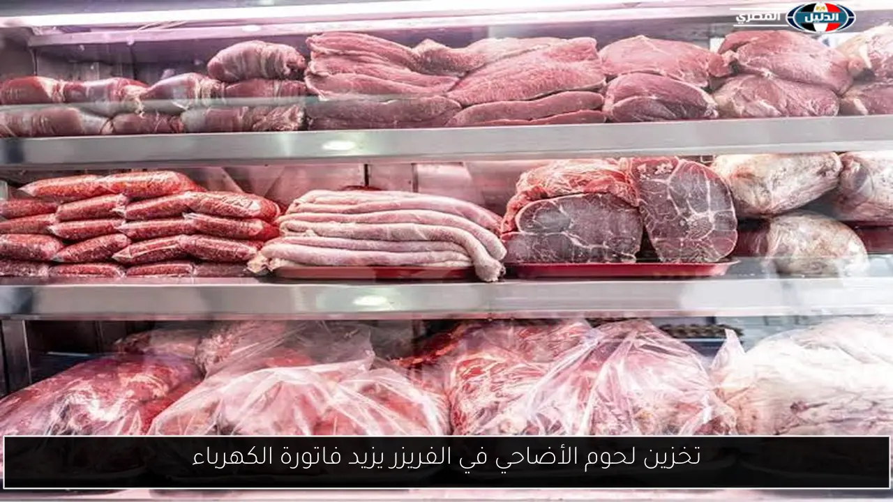 تخزين لحوم الأضاحي في الفريزر يزيد فاتورة الكهرباء
