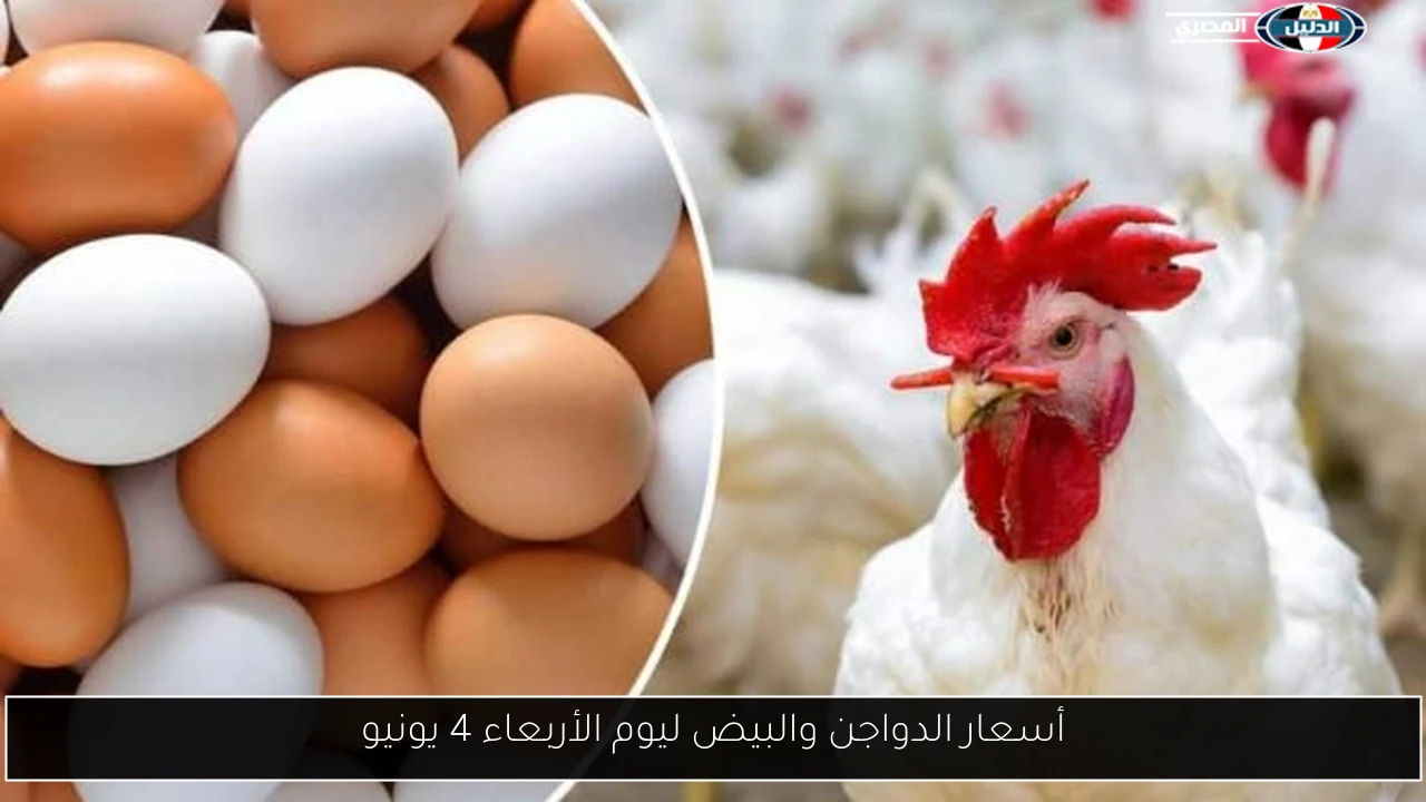 أسعار الدواجن والبيض ليوم الأربعاء 4 يونيو