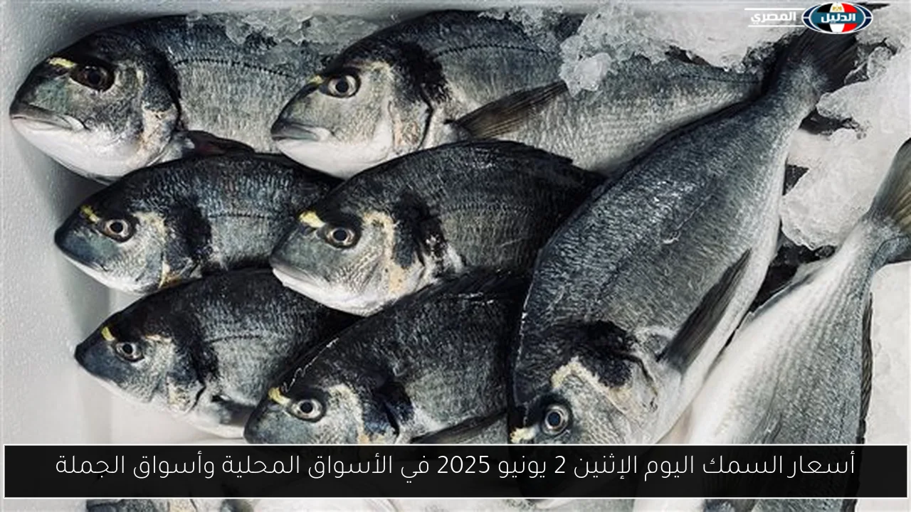 أسعار السمك اليوم الإثنين 2 يونيو 2025 في الأسواق المحلية وأسواق الجملة